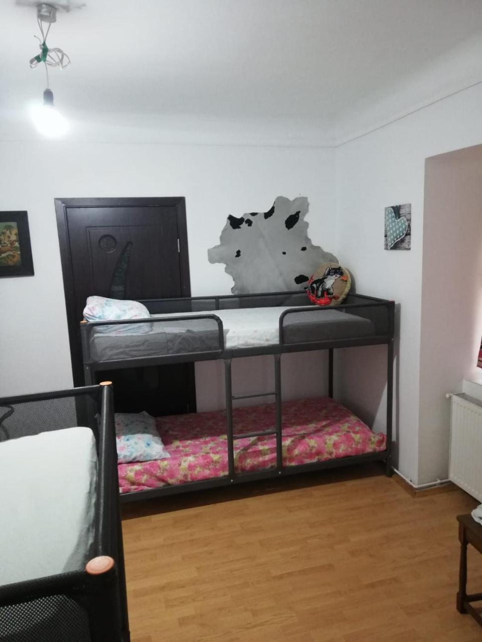 Leyla Hostel Braşov Exterior foto